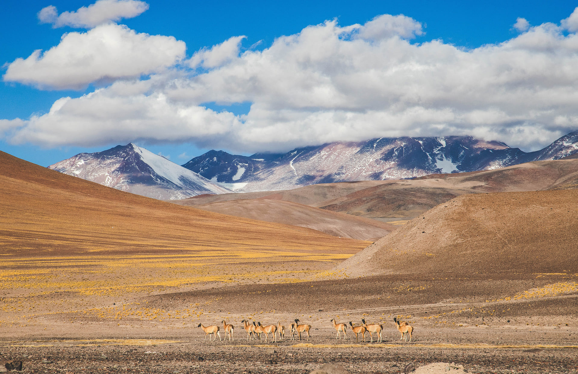 Cordillera 2